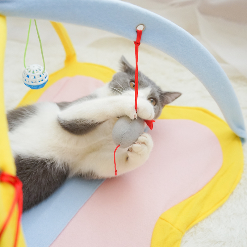 Cat Toy Funny Cat Stick Funny Cat Toy Set Kitty Toy Pet Supplies - Image 7