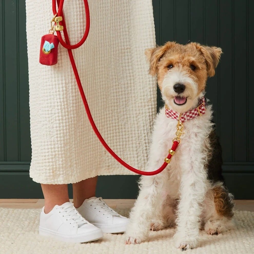 Dog leashes and leads