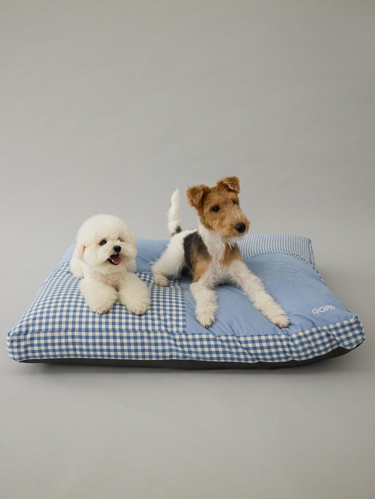 Dog beds and mats