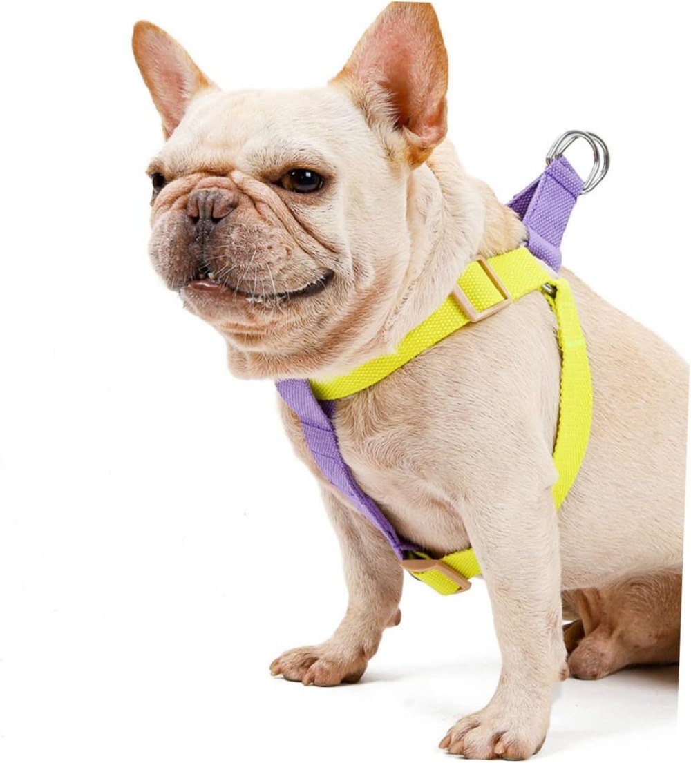Dog Harness And Leash No Pull Nylon Pet Leashes For Small Dogs French Bulldog Chihuahua Lead Leash And Collar Set For Yorkies - Image 4